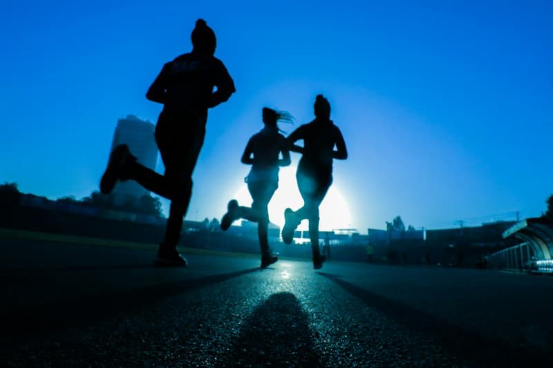 Runners jogging together through a sunlit park